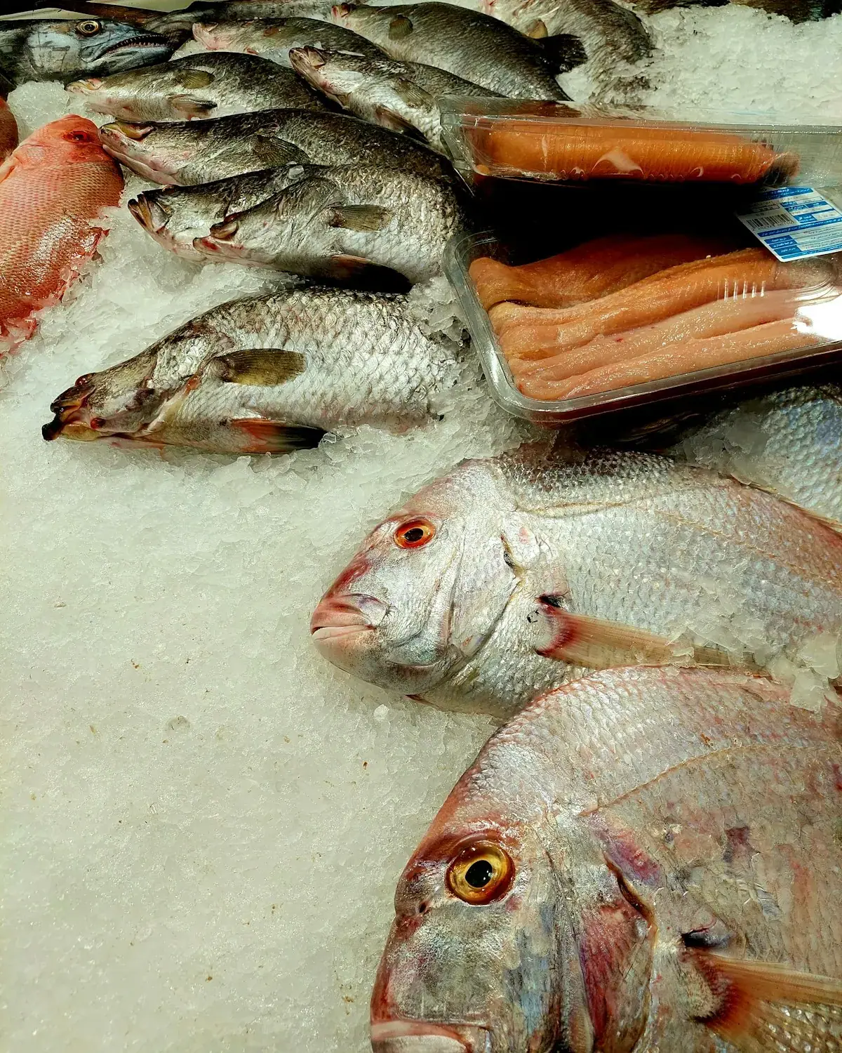 Banca de peixe e salmão sobre gelo num mercado
