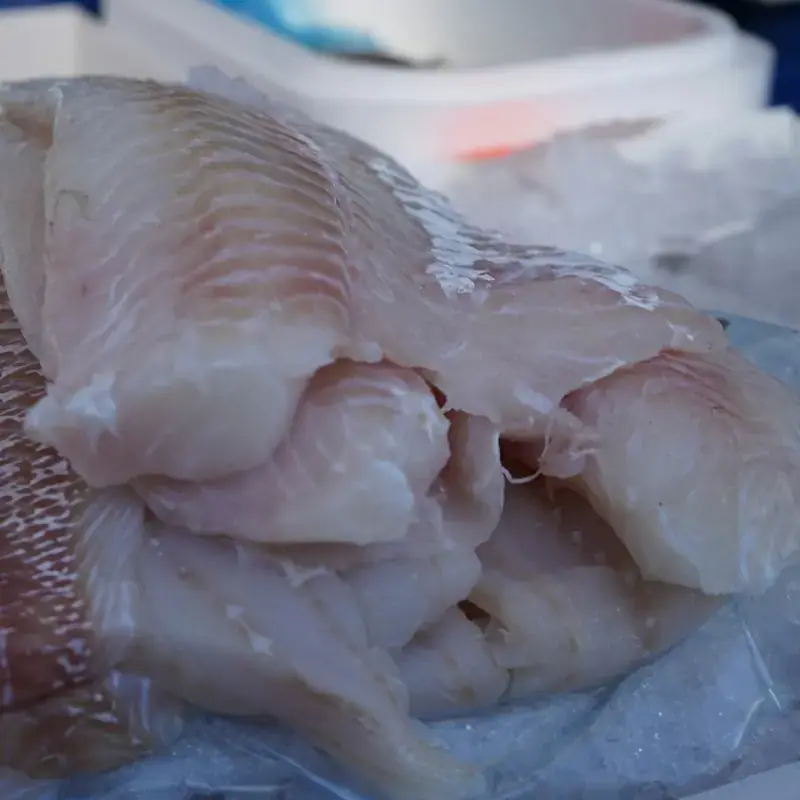 Filetes de pescada